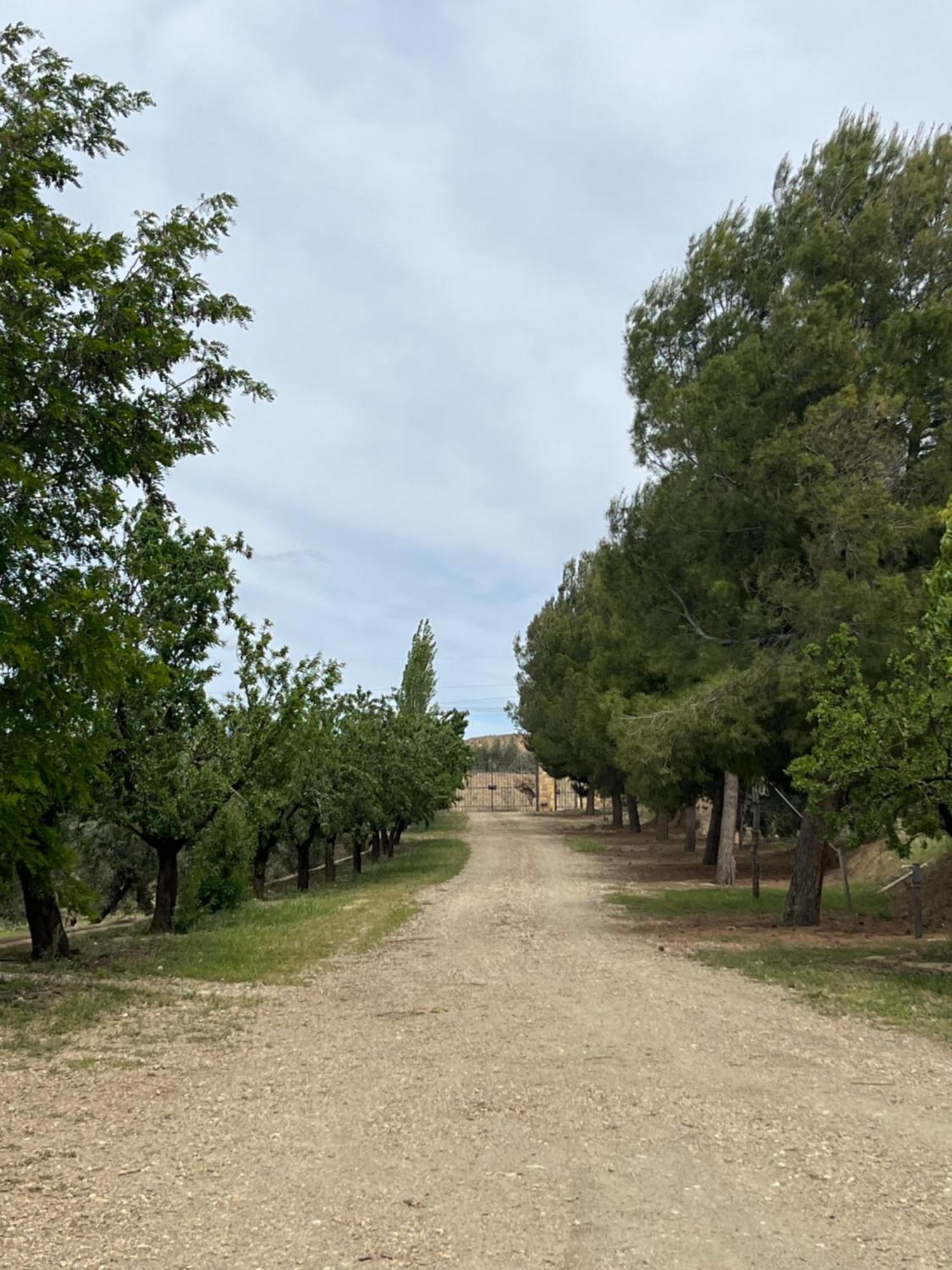 Cortijo Don Meliton Villa Guadix Exteriör bild
